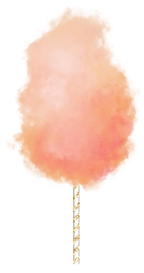(s113-1) Cotton Candy Floss