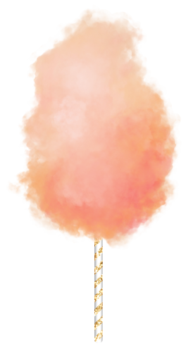 (s113-1) Cotton Candy Floss
