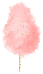 (s113-1) Cotton Candy Floss