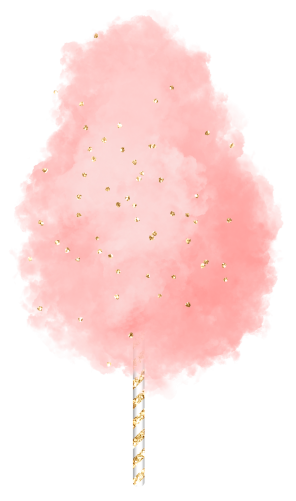 (s113-1) Cotton Candy Floss