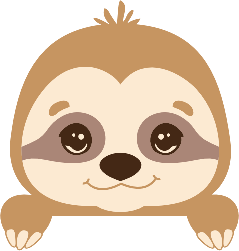 (s114-3-1D) Baby Sloth Face