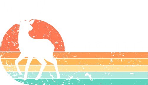 (115-06-G) Distressed Retro Sunset Deer Buck Wyoming