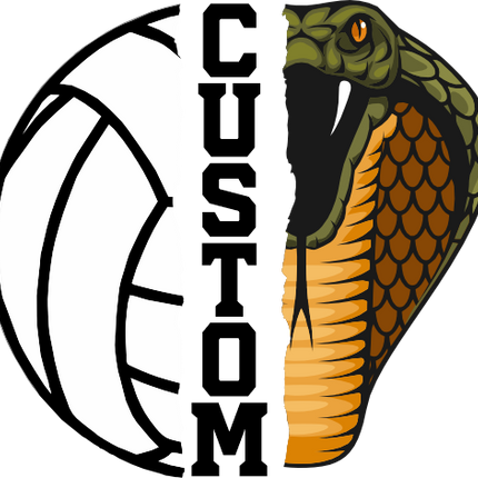 (145-1N-25) Cobra Split Mascot Volleyball