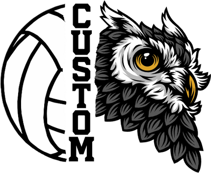(145-1N-60) Owl Split Mascot Volleyball