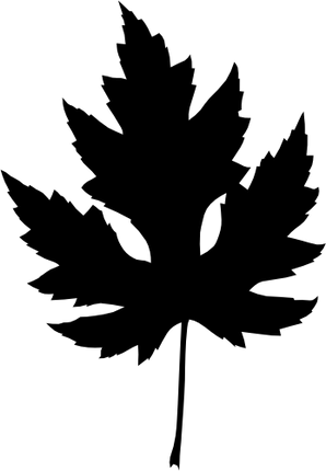 (118-C) Maple Leaf Silhouette