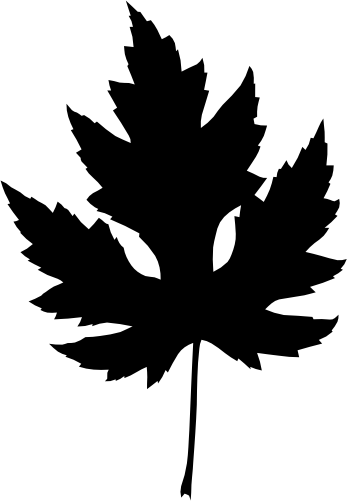 (118-C) Maple Leaf Silhouette
