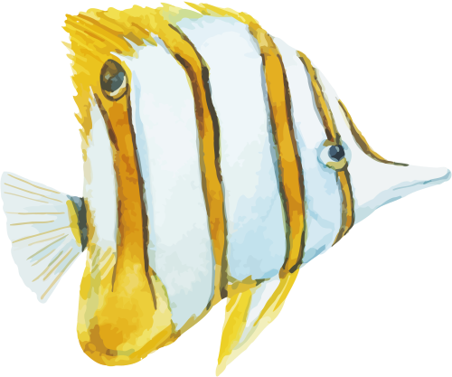 (s119-1-1T) Tropical Fish