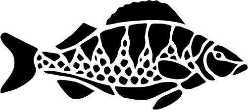 (s119-1-2H) Tropical Fish