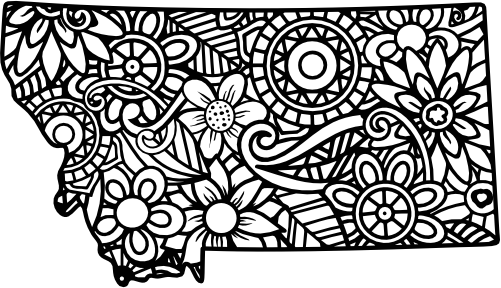 (011-03) Zentanlge State All States Available