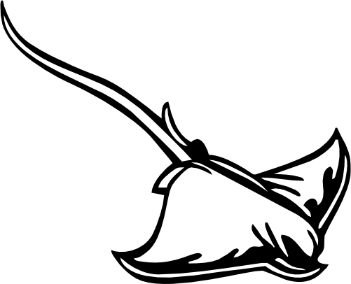 (s120-1-E) Skate Ray