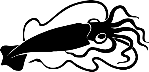 (s120-1-D) Squid