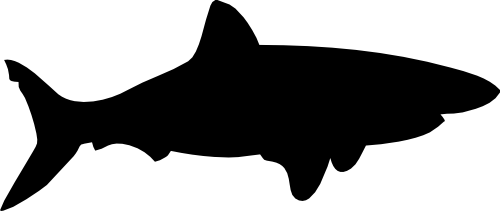(s120-1-G) Shark Silhouette