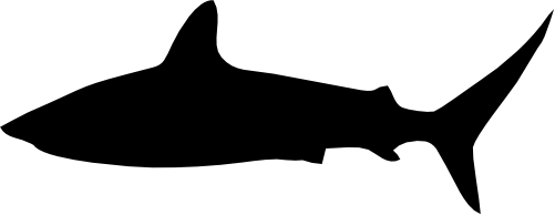 (s120-1-K) Shark Silhouette