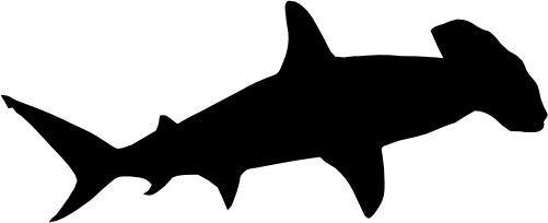 (s120-1-O) Shark Silhouette