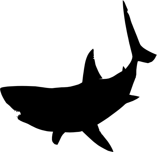 (s120-1-Q) Shark Silhouette