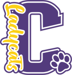 (s123-10) Ladycats Paw Print Letter Custom Text Name
