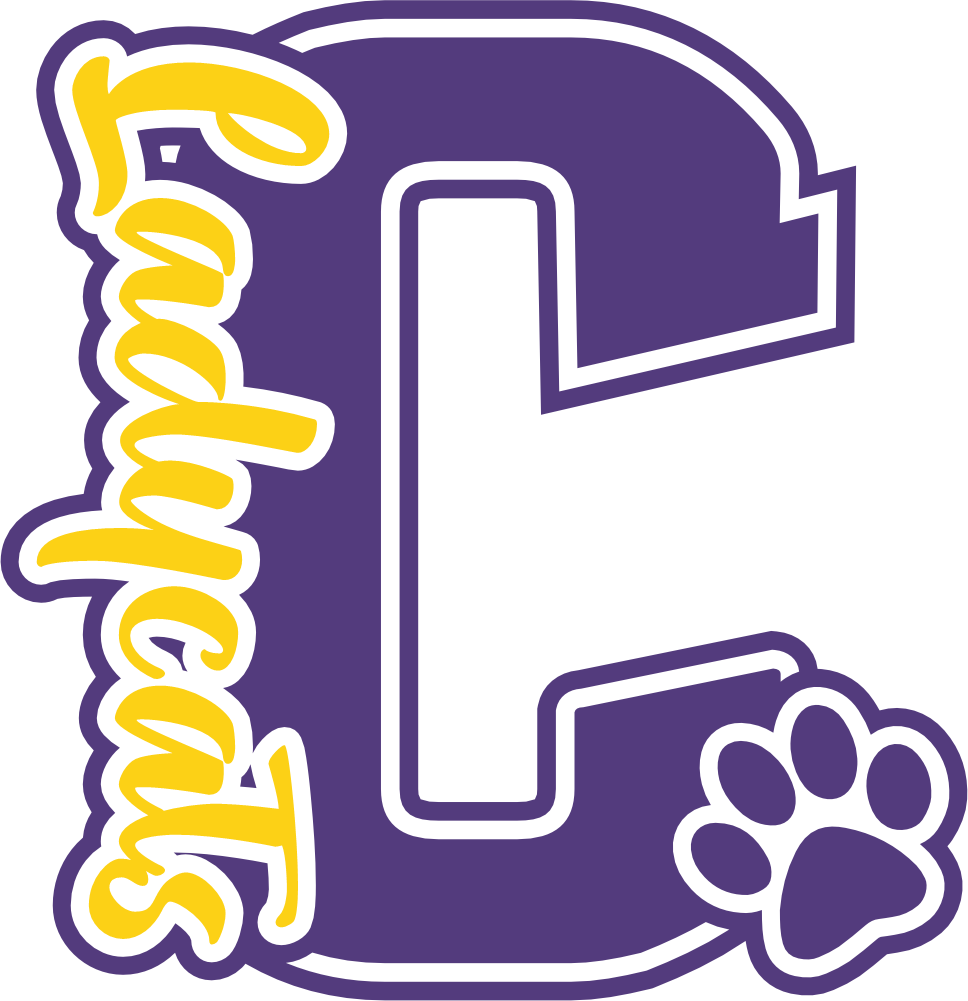 (s123-10) Ladycats Paw Print Letter Custom Text Name