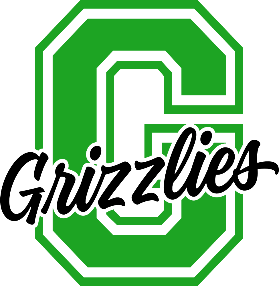 (s123-1) Grizzlies Collegiate Letter Team Name
