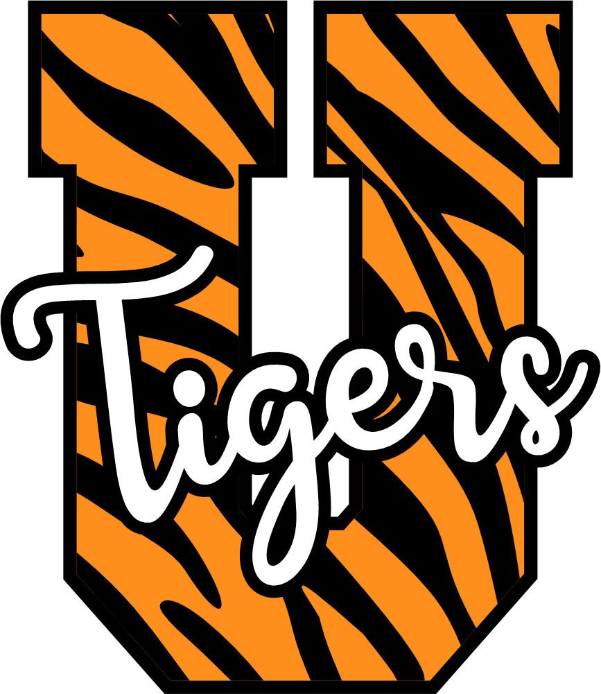 (s123-02) Tigers Tiger Print Letter Team Name Text