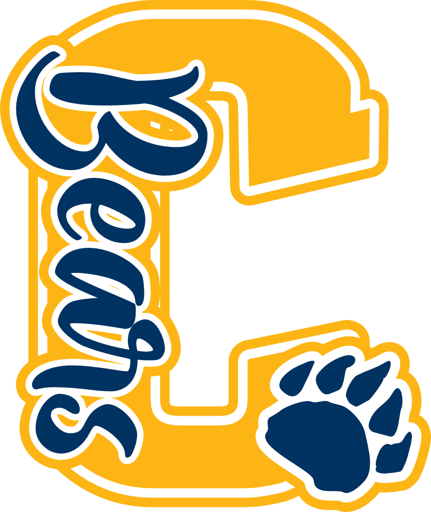 (s123-8) Bears Paw Print Letter Custom Text Name