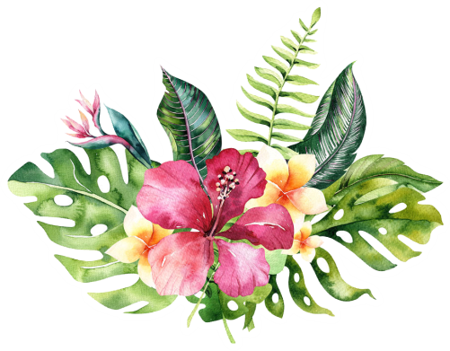 (s124-C) Hawaiian Flowers
