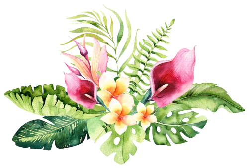 (s124-D) Hawaiian Flowers