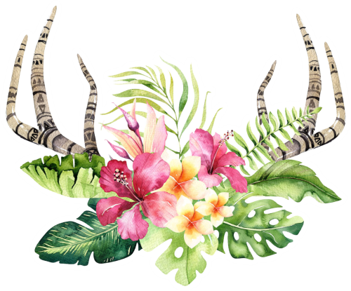 (s124-E) Hawaiian Flowers Deer Antlers
