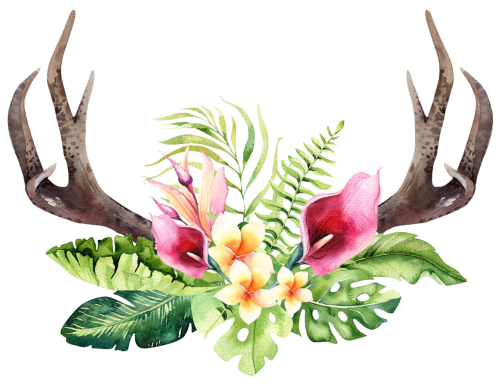 (s124-F) Hawaiian Flowers Deer Antlers