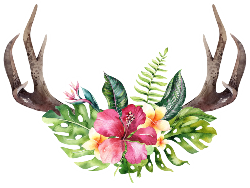 (s124-G) Hawaiian Flowers Deer Antlers