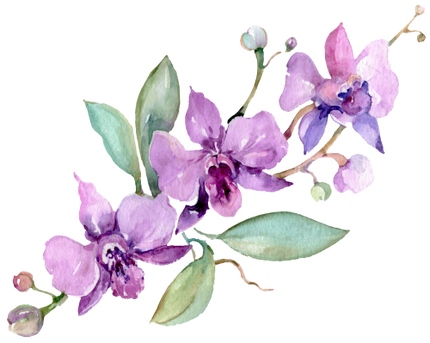 (125-02) Pink Purple Yellow Orchids