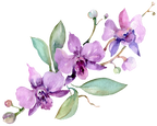 (125-02) Pink Purple Yellow Orchids