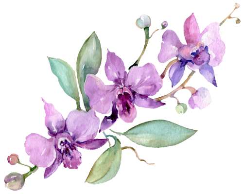 (125-02) Pink Purple Yellow Orchids