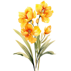 (125-05) Orchids