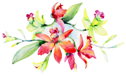 (125-02) Pink Purple Yellow Orchids