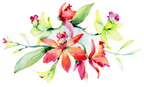 (125-02) Pink Purple Yellow Orchids
