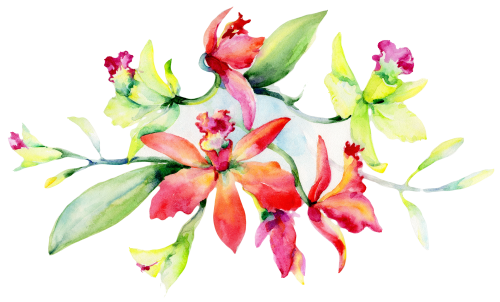 (125-02) Pink Purple Yellow Orchids