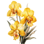 (125-05) Orchids