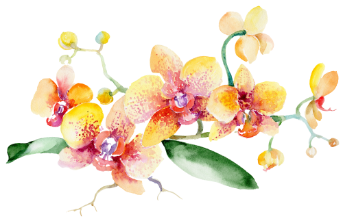 (125-02) Pink Purple Yellow Orchids