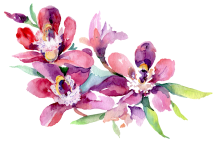 (125-02) Pink Purple Yellow Orchids