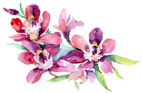 (125-02) Pink Purple Yellow Orchids