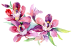 (125-02) Pink Purple Yellow Orchids
