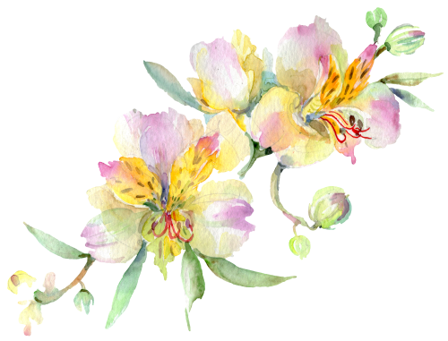 (125-02) Pink Purple Yellow Orchids
