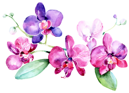 (125-02) Pink Purple Yellow Orchids