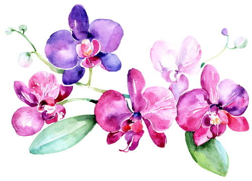 (125-02) Pink Purple Yellow Orchids