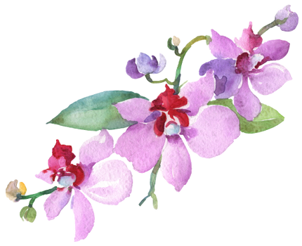 (125-02) Pink Purple Yellow Orchids