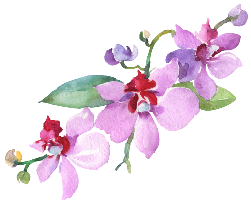 (125-02) Pink Purple Yellow Orchids