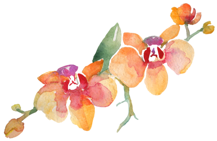 (125-02) Pink Purple Yellow Orchids