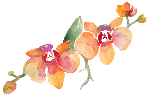(125-02) Pink Purple Yellow Orchids