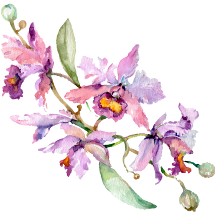 (125-02) Pink Purple Yellow Orchids