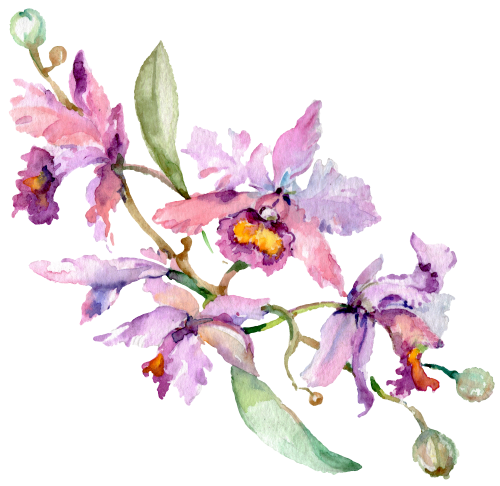 (125-02) Pink Purple Yellow Orchids